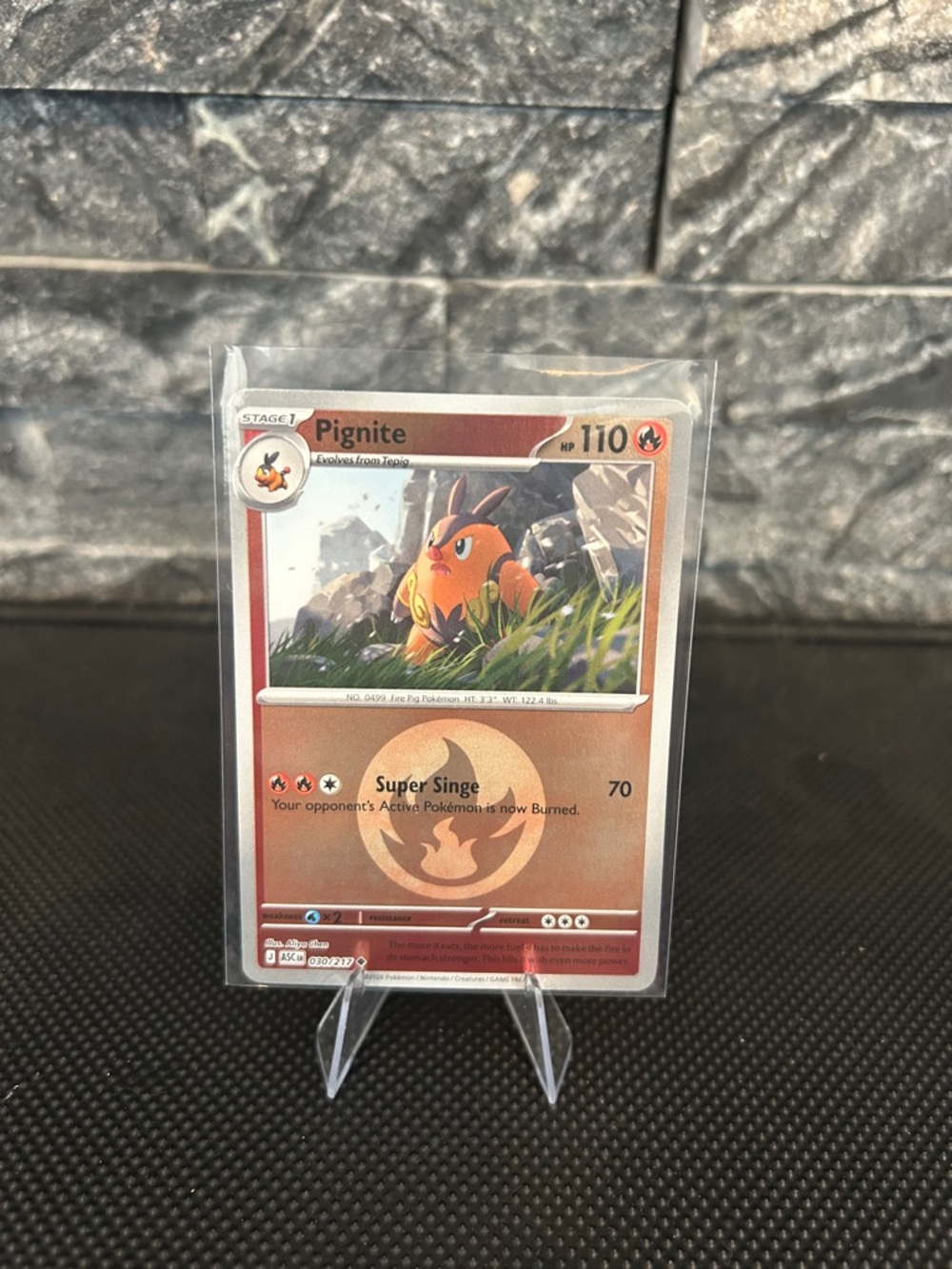 Pokemon Pignite‎ 030/217 Reverse Holo Rare from Ascended Heroes Set M/NM